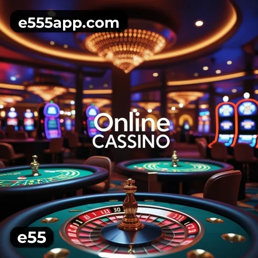 Níveis do programa VIP da e55